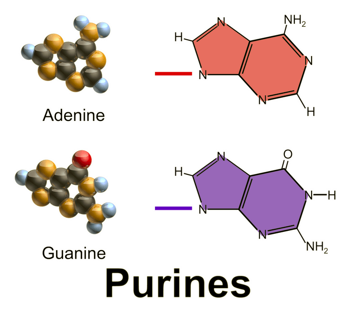 purin-kacang-kacangan-penyebab-asam-urat